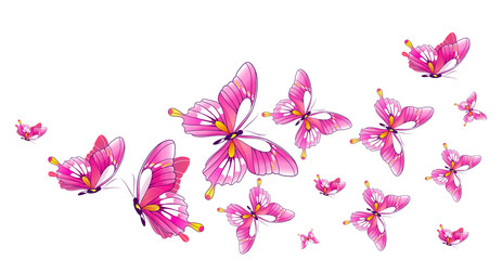 Obraz na płótnie Canvas butterfly128