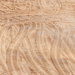 Fototapeta premium Many traces of the tread of cars in the sand.