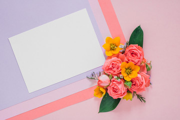 Flat lay colorful flowers composition on bright paper background, clean blank for text, copy space