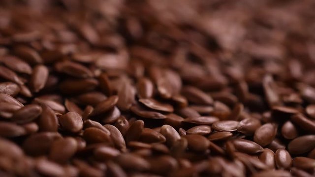 flax seed macro closeup