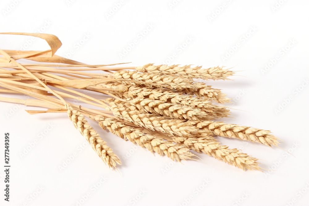 Wall mural spikelets of wheat on a white background