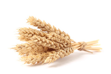 spikelets of wheat on a white background