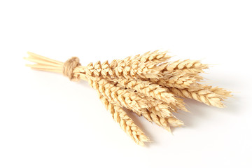 spikelets of wheat on a white background