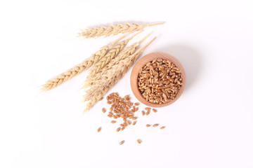 wheat and spikelets on a white background