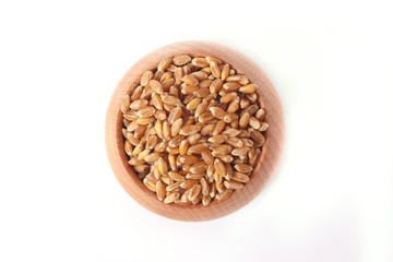 wheat and spikelets on a white background
