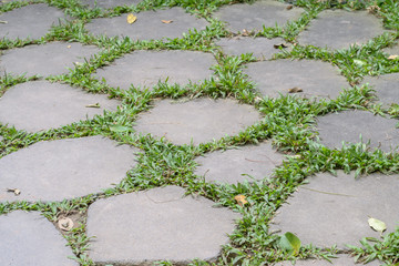 block cement walkway with green grass in garden. - 277350743