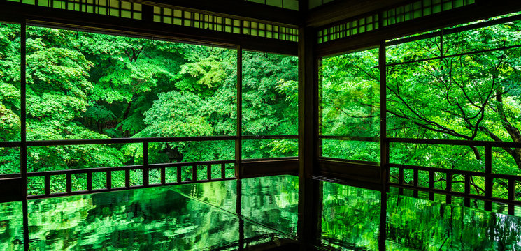 瑠璃光院」の写真素材 | 1,436件の無料イラスト画像 | Adobe Stock