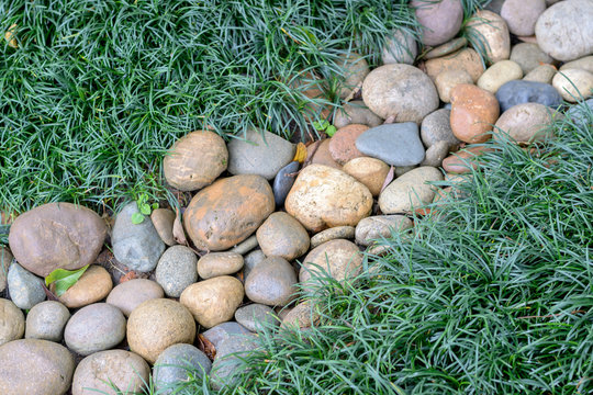 Pebble Stone and  mini mondo grass or snakes bread in garden,Thailand