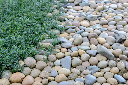 Pebble Stone and  mini mondo grass or snakes bread in garden