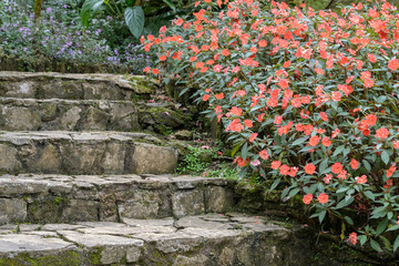 Stone stairs in flower garden in Thailand (Selective focus) with copy space