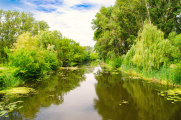 Obraz premium rural river
