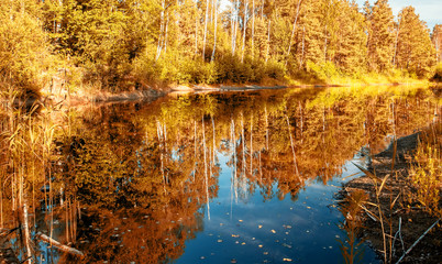 Autumn view of a lake with golden trees above the water.