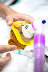 hospital bear getting an anesthesia