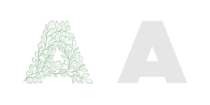 Hand-drawn Capital Letter A Decorated With Botanical Pattern For Lettering Compositions. Vector Illustration