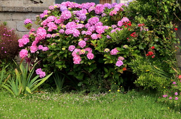 Jardin d'été ! coloré