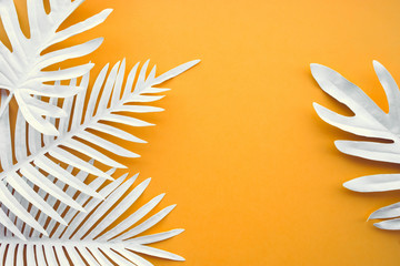 Collection of tropical leaves,foliage plant in exotic color with space background