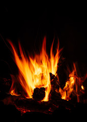 Camp fire in the night, bright flames, black background	