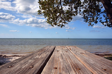 Obraz na płótnie Canvas Picnic table view of ocean in Key West Fl. with tree and clouds