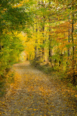 Autumn Colors - .Coutry Road, Rural Scene - Romania - Transylvania