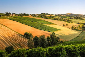 Castelvetro di Modena hills at sunset. Castelvetro, Modena province, Emilia Romagna, Italy