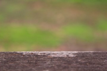 Gray plank, green pasture background, blurred photography