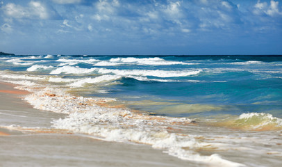 Ocean Waves and sandy beach