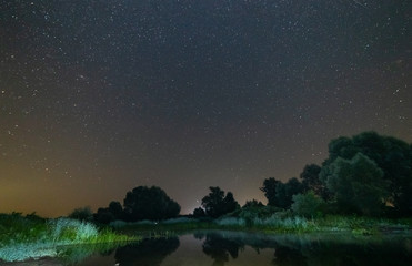 Starry sky over water and trees.
