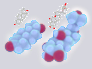 Structure comparison between the steroid hormones testosterone (left) and ecdysterone