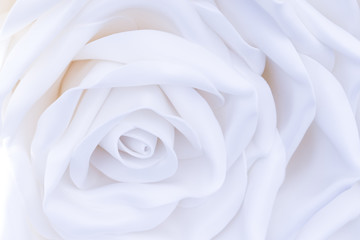 One huge, large white decorative rose