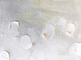 Simple white texture background. White petals oil painting on canvas.