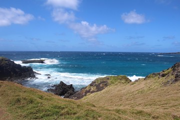 Fototapeta na wymiar Coast of Noronha sea