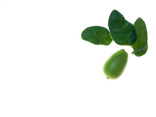 Lemon with leaves on a white background