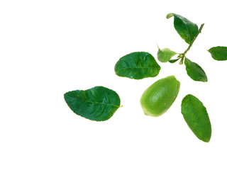 Lemon with leaves on a white background