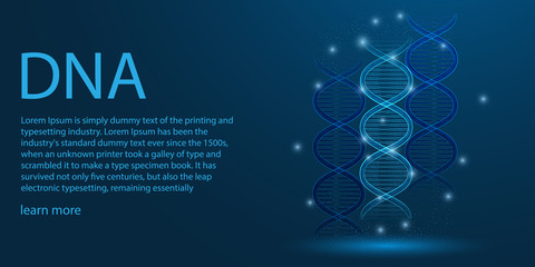 Human genome.DNA low poly wireframe theme concept on blue background. Illustration vector.