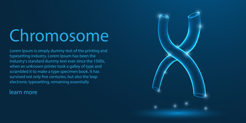 Human Chromosome. X-shaped structure.low poly wireframe theme concept on blue background. Illustration vector.