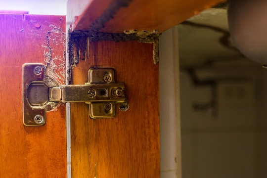 Traces Of Termites Eat Wood, Timber Beam Of Door Damaged By Termite Which Eat For A Long Time, The Wood Home With Termites Damage