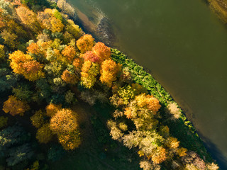 Birds eye view of autumn forest and a small lake. Aerial forest scene in autumn with orange and yellow foliage. Fall scenery in Vilnius, Lithuania.