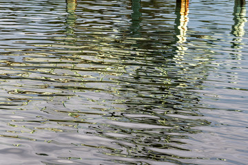 Green reflections on water surface.