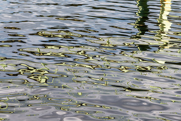 Green reflections on water surface.