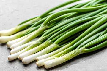 Fresh onion, green freshly harvested spring onions
