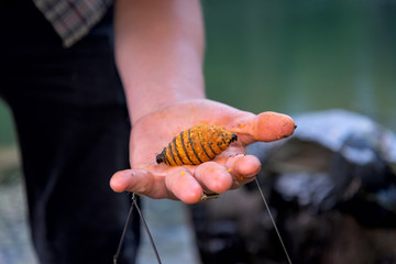 the hands of the fisherman on fishing wear a worm on the hook and hold the feeder with fish food