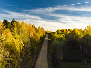 Aerial view of autumn forest with green and yellow trees. Mixed deciduous and coniferous forest. Beautiful fall scenery near Vilnius , Lithuania