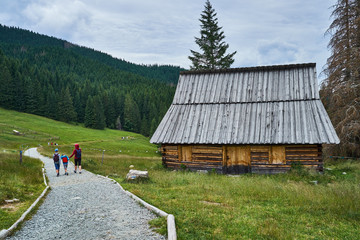 turystyka, wycieczka w góry © ftomasz