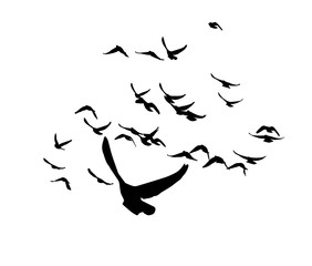 A flock of flying birds abstraction.. Vector illustration