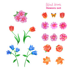 Set of different flowers isolated on white. Poppies, tulips, roses,lilies,cornflowers,blue bells and other