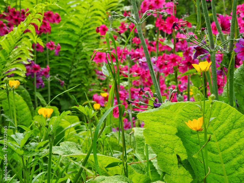 Sticker wetland garden flowers