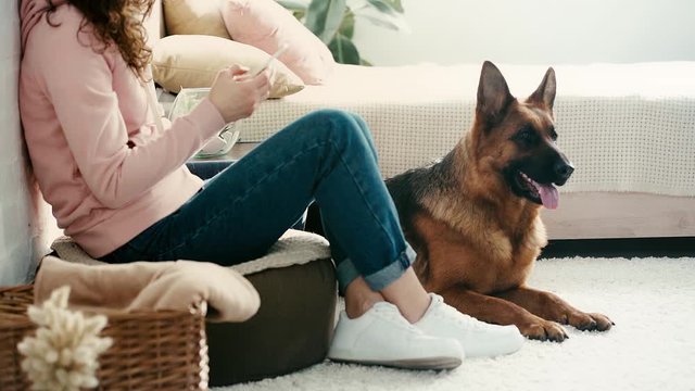 slow-motion of young woman sitting and using smartphone near cute purebred german shepherd dog then girl stroking dog in bedroom 