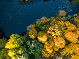 Naklejka na ściany i meble Birds eye view of autumn forest and a small lake. Aerial forest scene in autumn with orange and yellow foliage. Fall scenery in Vilnius, Lithuania.