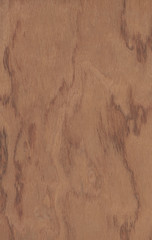 Scan of a wood veneer rose background
