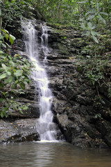 Obraz premium tropical waterfall in atlantic forest, brazil